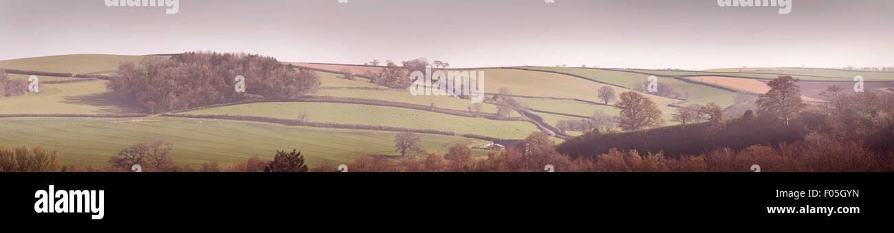 Nebligen ländliche Landschaft, Bedfordshire, tiefstehende Sonne, Frühherbst Stockfoto