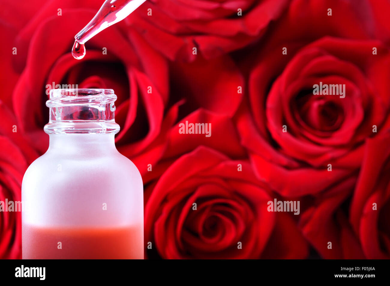 Tropfflasche mit rose Wesen über schöne rote Rosen Stockfoto