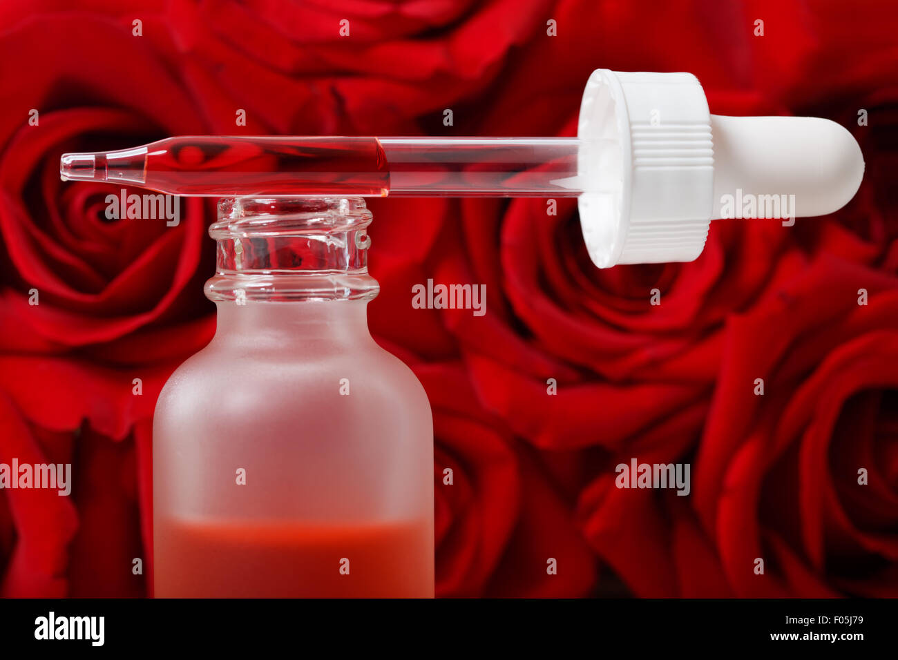 Pipette und ätherisches Öl mit roten Rosen Stockfoto