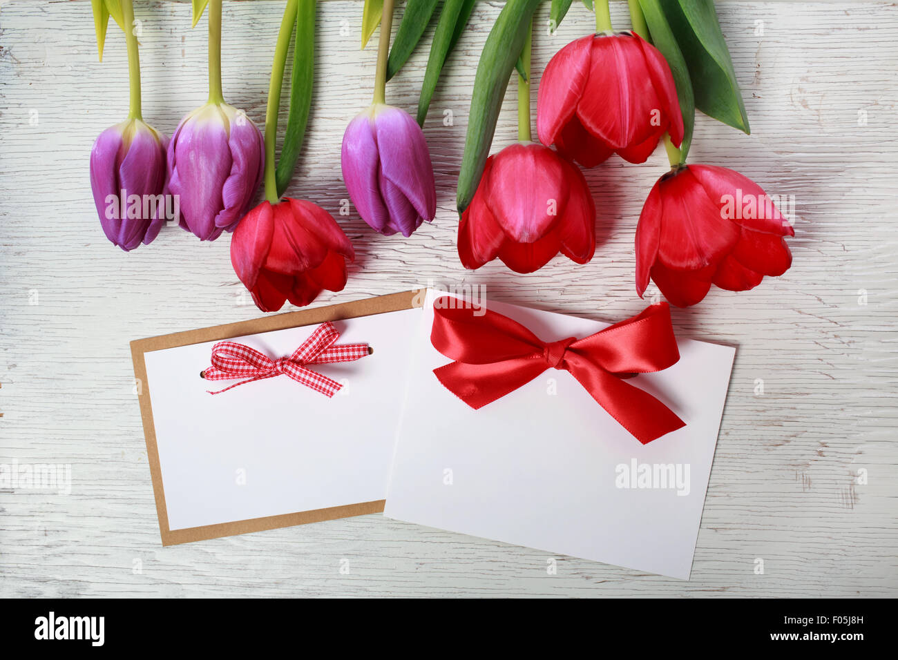 Rote und violette Tulpen mit Nachricht Karten Stockfoto