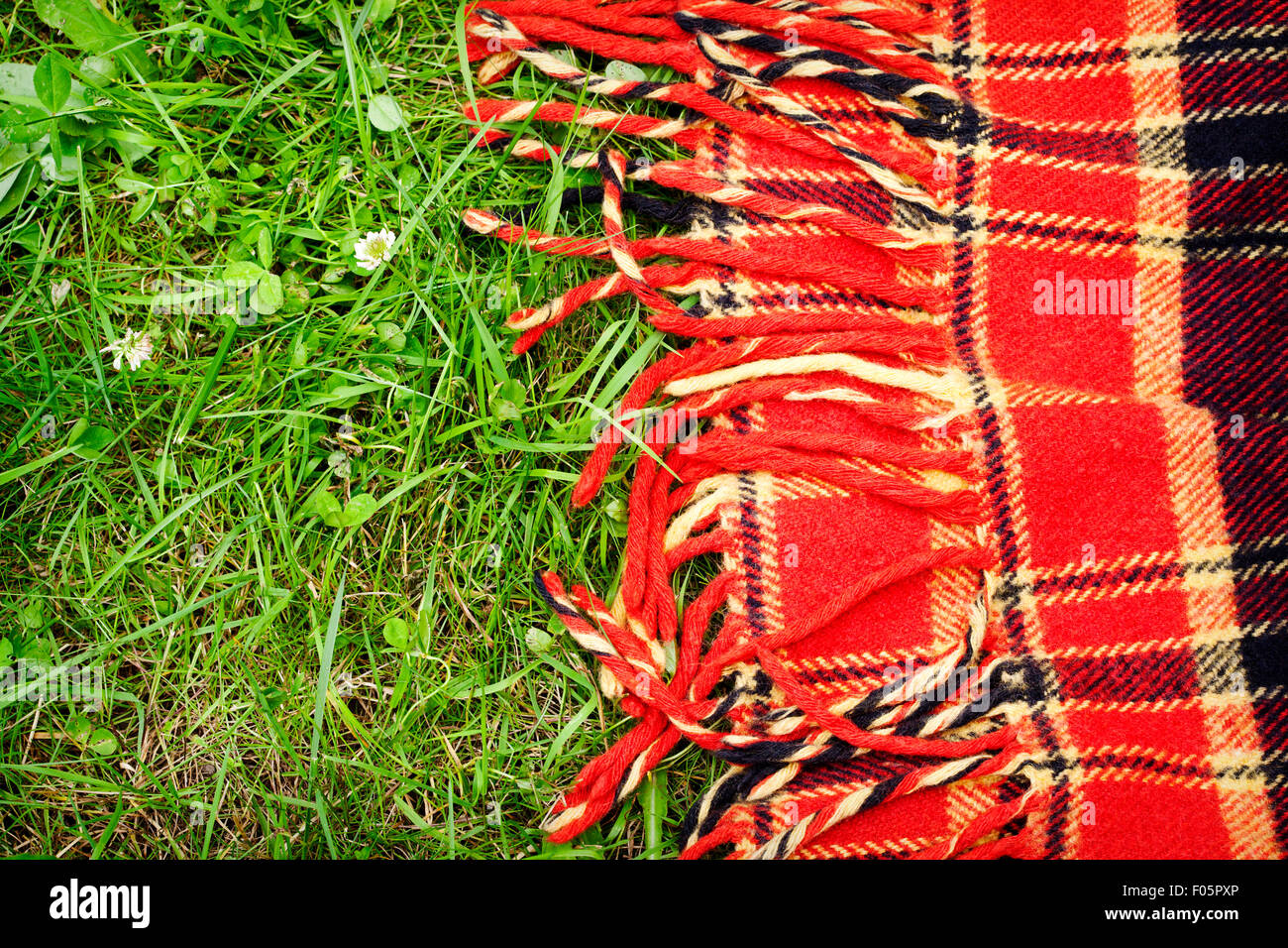 Kariertes Karo für Picknick auf dem grünen Rasen. Picknick-Hintergrund Stockfoto