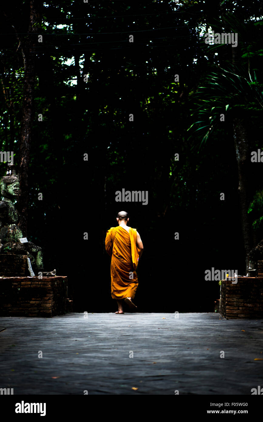 Ein Buddhis Mönch in einem Forrest-Tempel in Chiang Mai, Thailand, Asien. Stockfoto