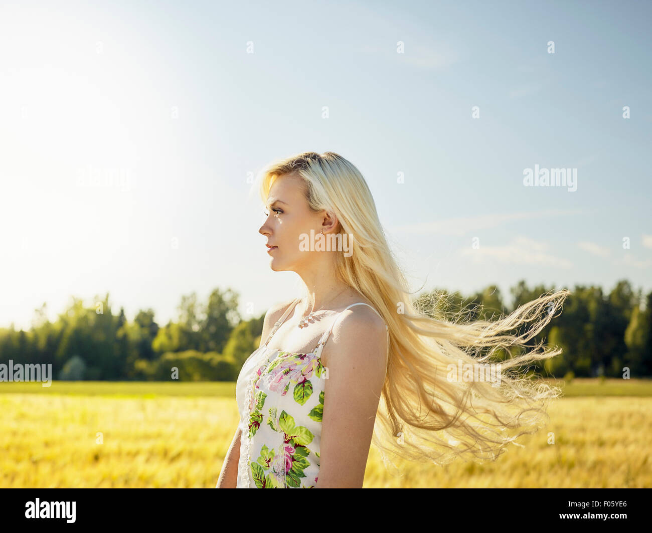Schöne helle Haut Blonde tragen eines geblümten Kleid, Sommer Sonne, Gerstenfeld auf Hintergrund Stockfoto