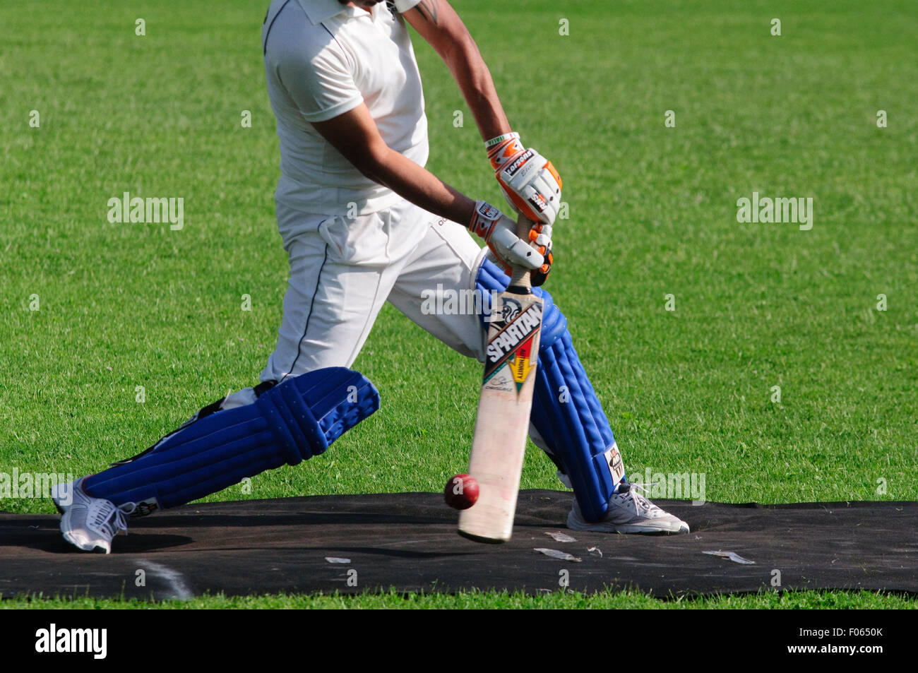 Italien, Lombardei, Cricket Sport Schlagmann Wimper Stockfoto