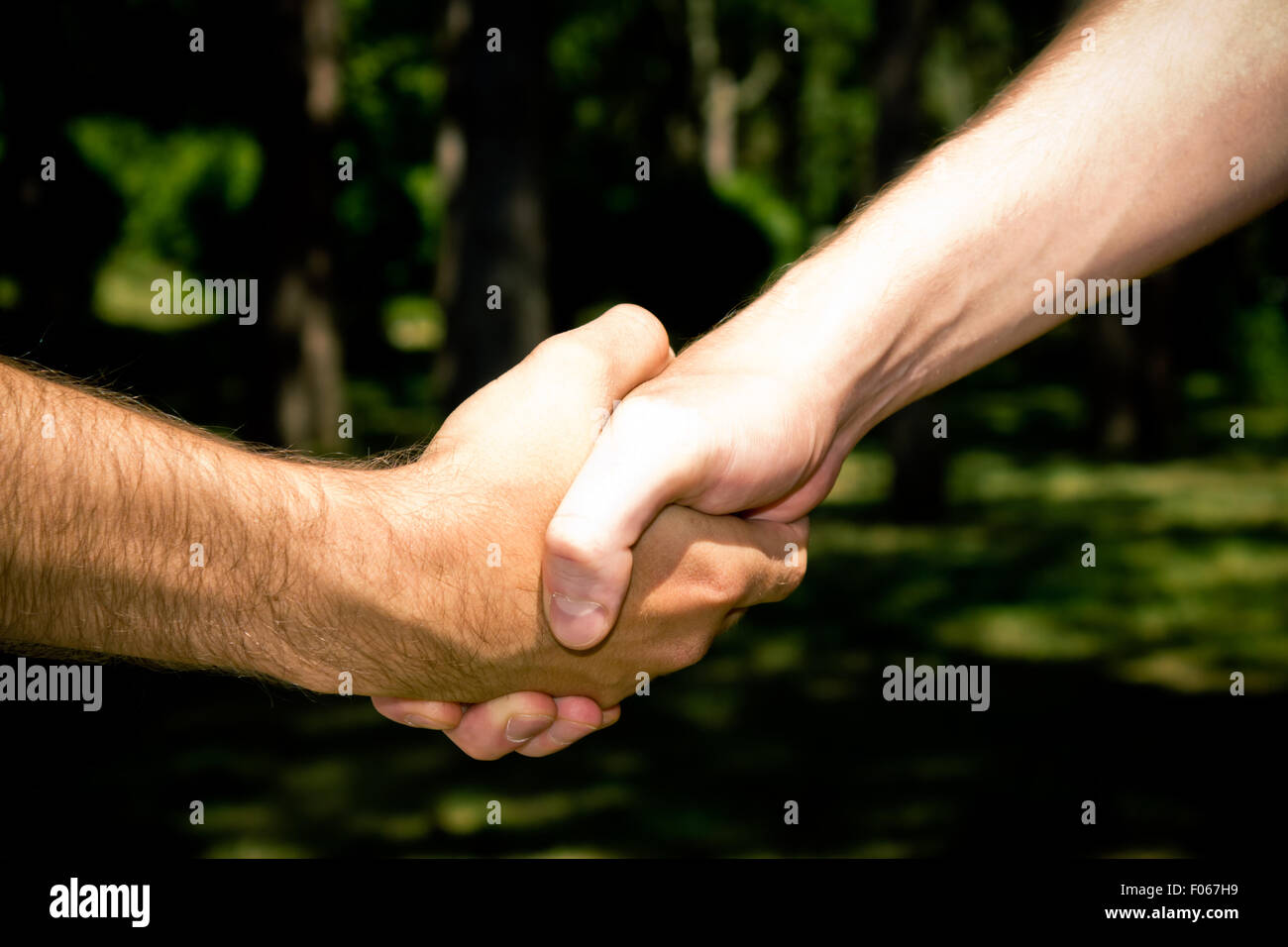 Zwei Freunde schließen einen Vertrag mit einem Handschlag im Wald Stockfoto