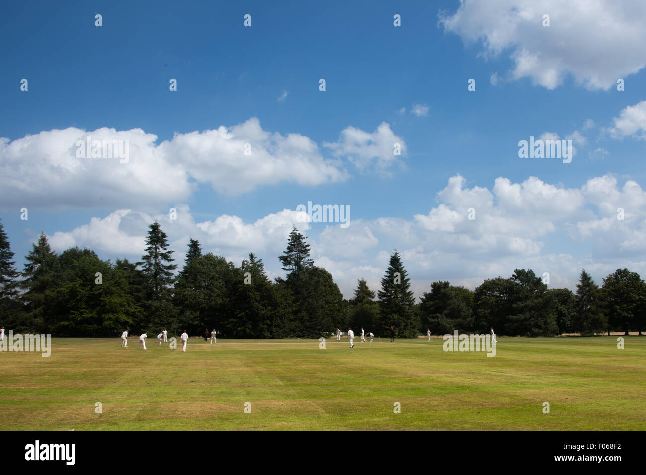 Alte Wölfe V teams Rugely Cricket Spiel in Wolverhampton Cricket Club Wolverhampton West Midlands UK Stockfoto