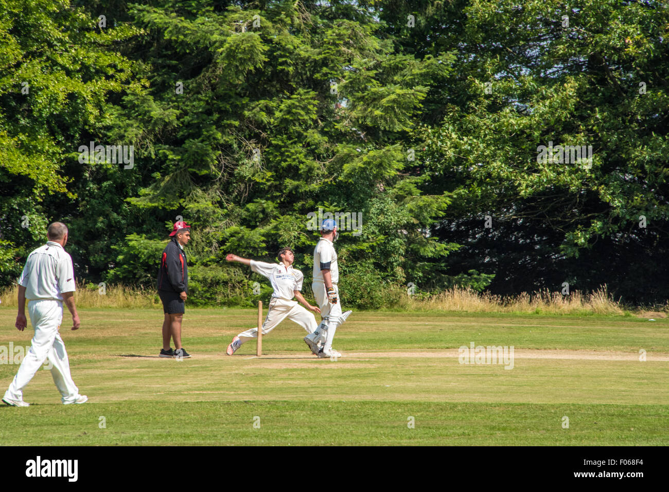 Alte Wölfe V teams Rugely Cricket Spiel in Wolverhampton Cricket Club Wolverhampton West Midlands UK Stockfoto