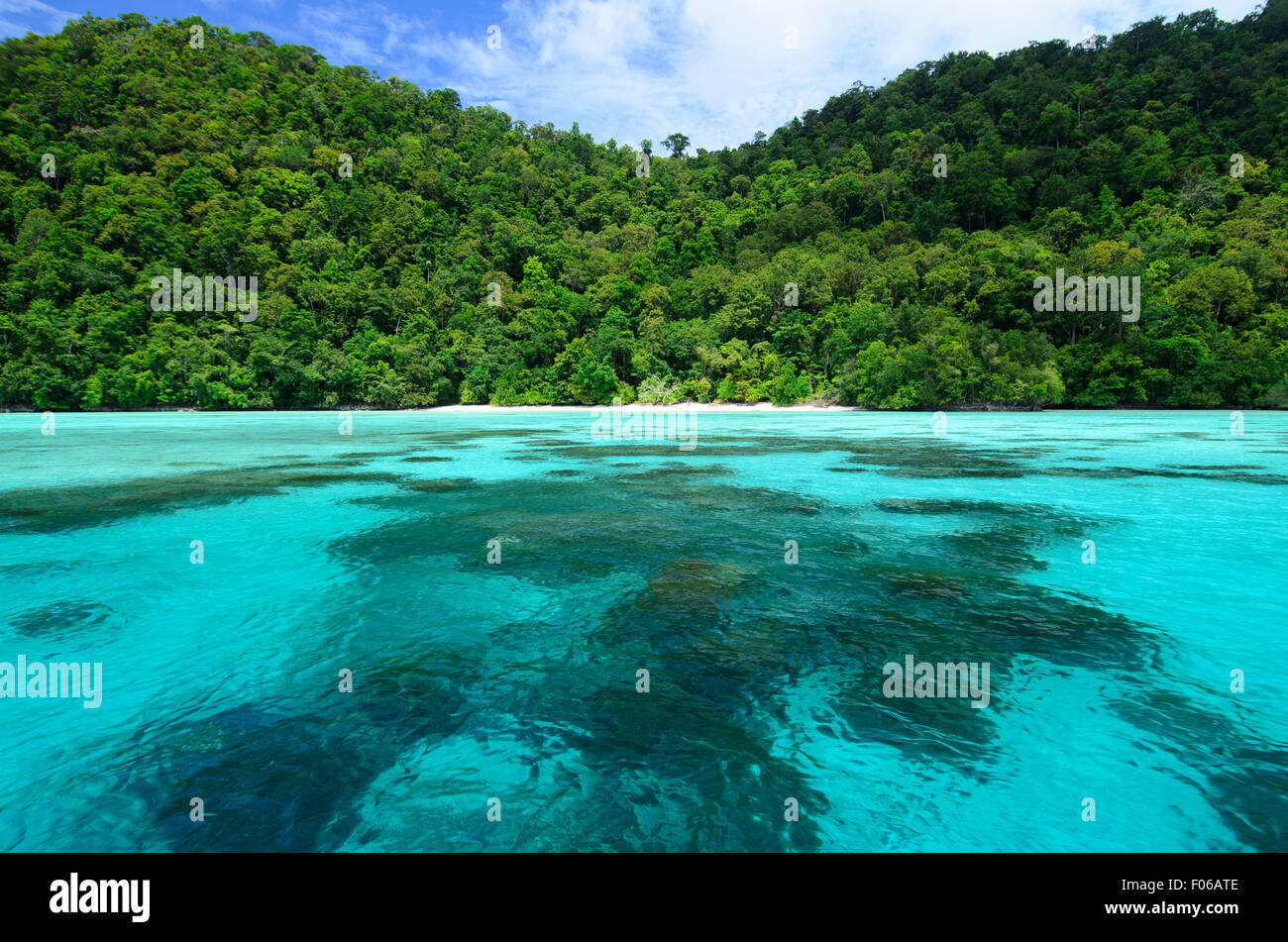 Grünen Dschungel entspricht ein tropisches Meer, Mommon, West-Papua, Indonesien, Pazifik Stockfoto