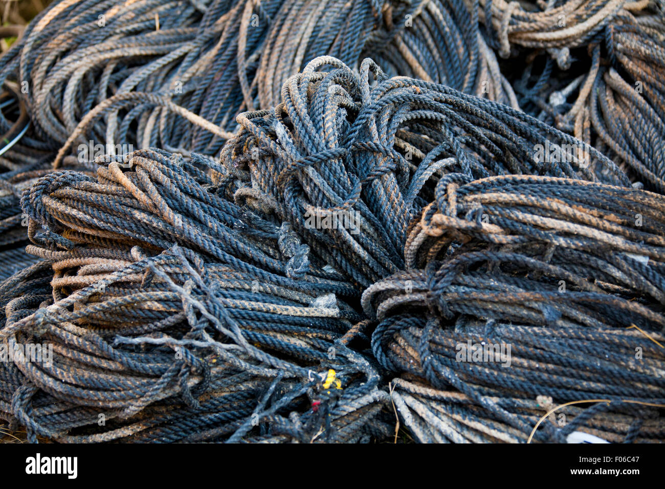 Abschnitte des Seils gestapelt warten für Hummerfallen verwendet werden Stockfoto