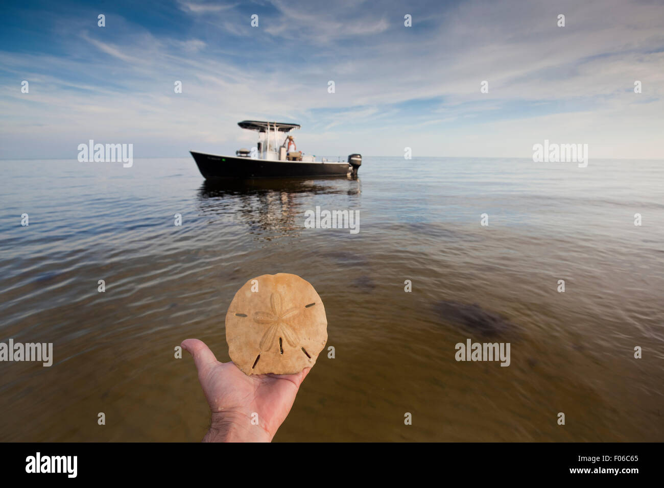 Fotografen-Hand hält einen Sand Dollar mit einem Boot verankert im Hintergrund entlang dem Golf von Mexiko Stockfoto
