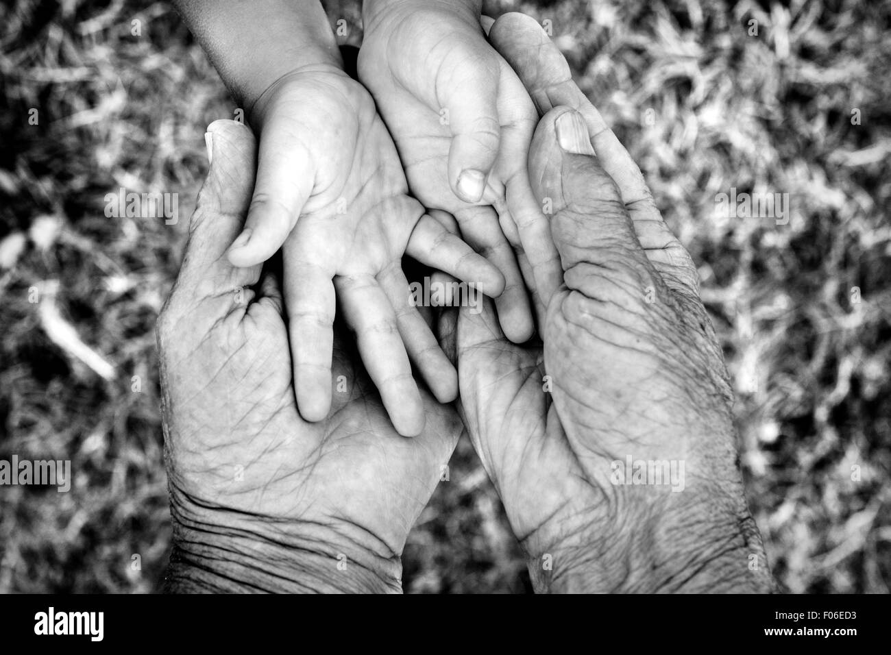 Kleines Kind Hände von Großeltern, Tiefenschärfe und schwarz holded & weiße Technik Stockfoto