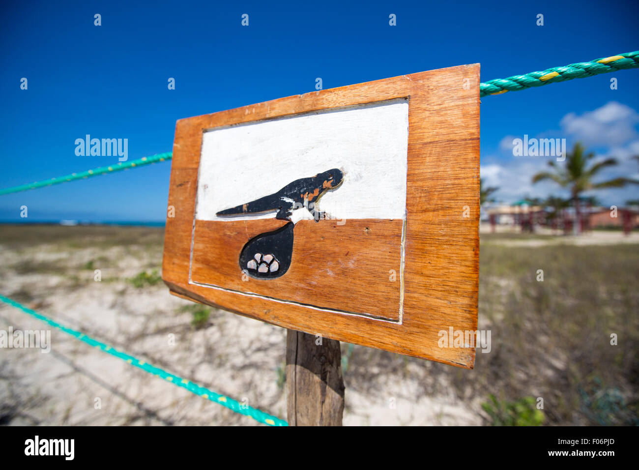 Holzschild, die eine geschlossene Fläche zu schützen, während der Verschachtelung in der Nähe von der Küste von Isabela Island um die Leguane Bevölkerung zu bewahren Stockfoto
