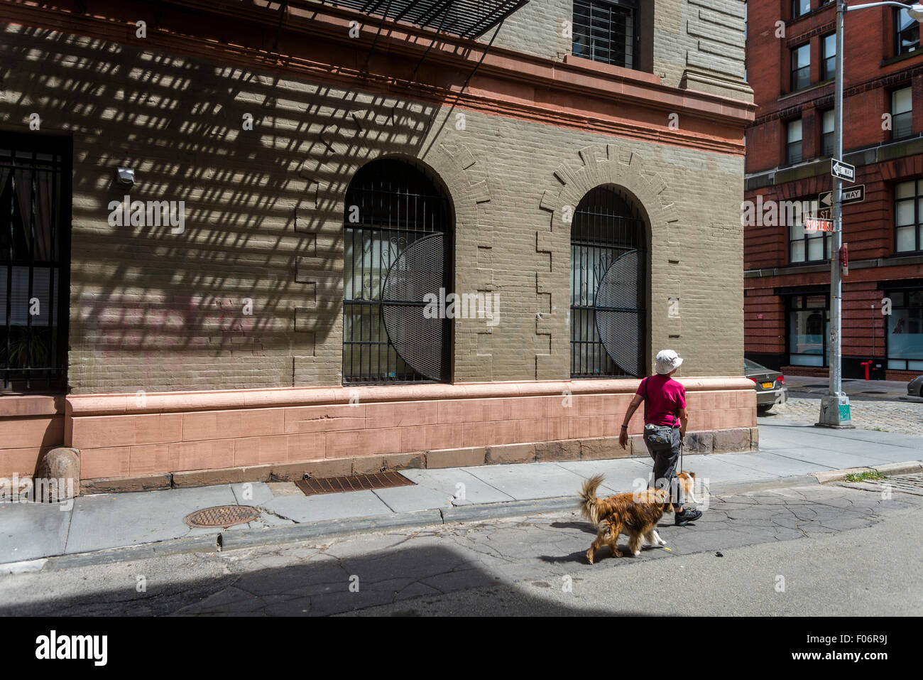 New York, NY 8. August 2015 - Frau zu Fuß ihre Hunde auf Grundnahrungsmittel Street im Stadtteil TriBeCa von Manhattan © Stacy Walsh Rosenstock/Alamy Stockfoto