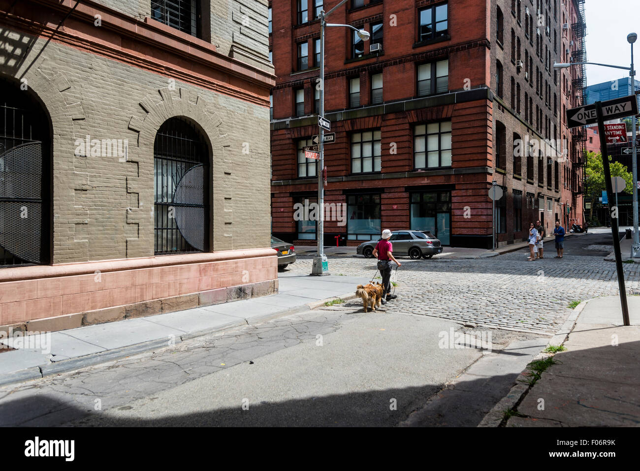 New York, NY 8. August 2015 - Frau zu Fuß ihre Hunde auf Grundnahrungsmittel Street im Stadtteil TriBeCa von Manhattan © Stacy Walsh Rosenstock/Alamy Stockfoto