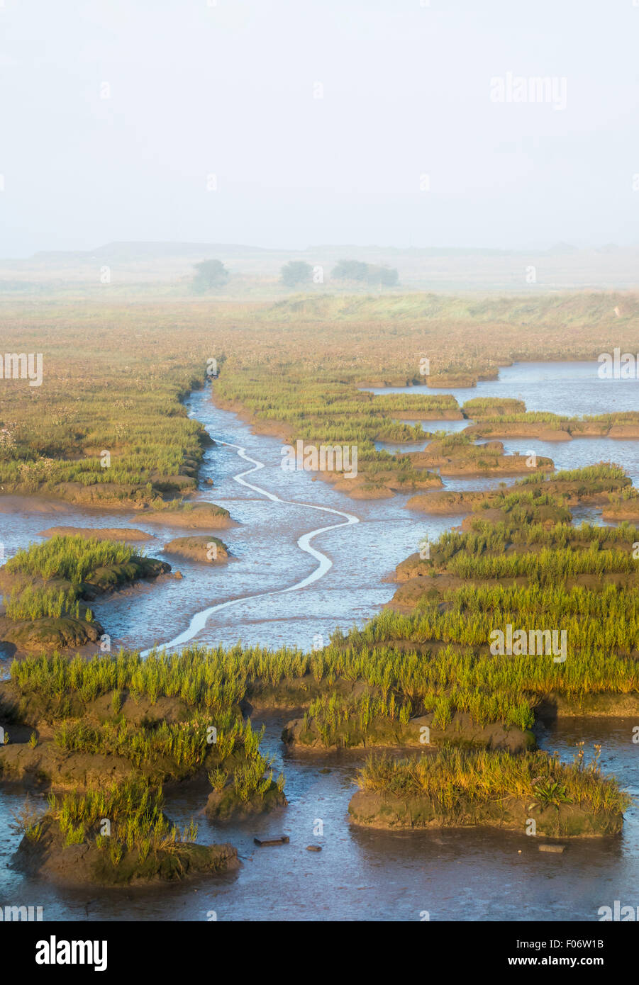 Intertidal Wattenmeer am Greatham Creek in der Nähe von Seal Sands zwischen Hartlepool und Middlesbrough, Nordostküste Englands. UK Stockfoto