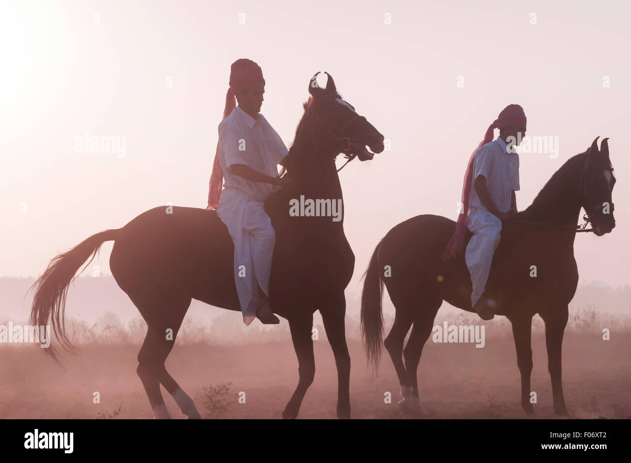 Zwei indische Männer reiten ihre Marwari Pferde ohne Sattel in der Morgendämmerung. Stockfoto