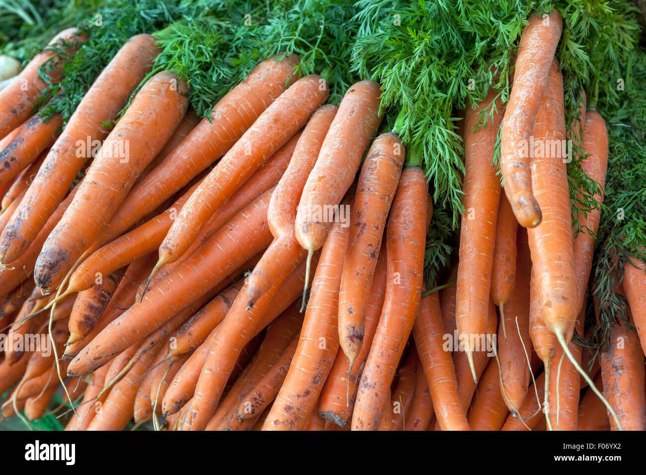 Karotten, Karotten Farmers Market Stockfoto