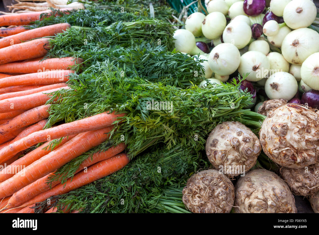 Karotten, Karotten, Sellerie, Zwiebel, Karotten Farmers Market Stockfoto