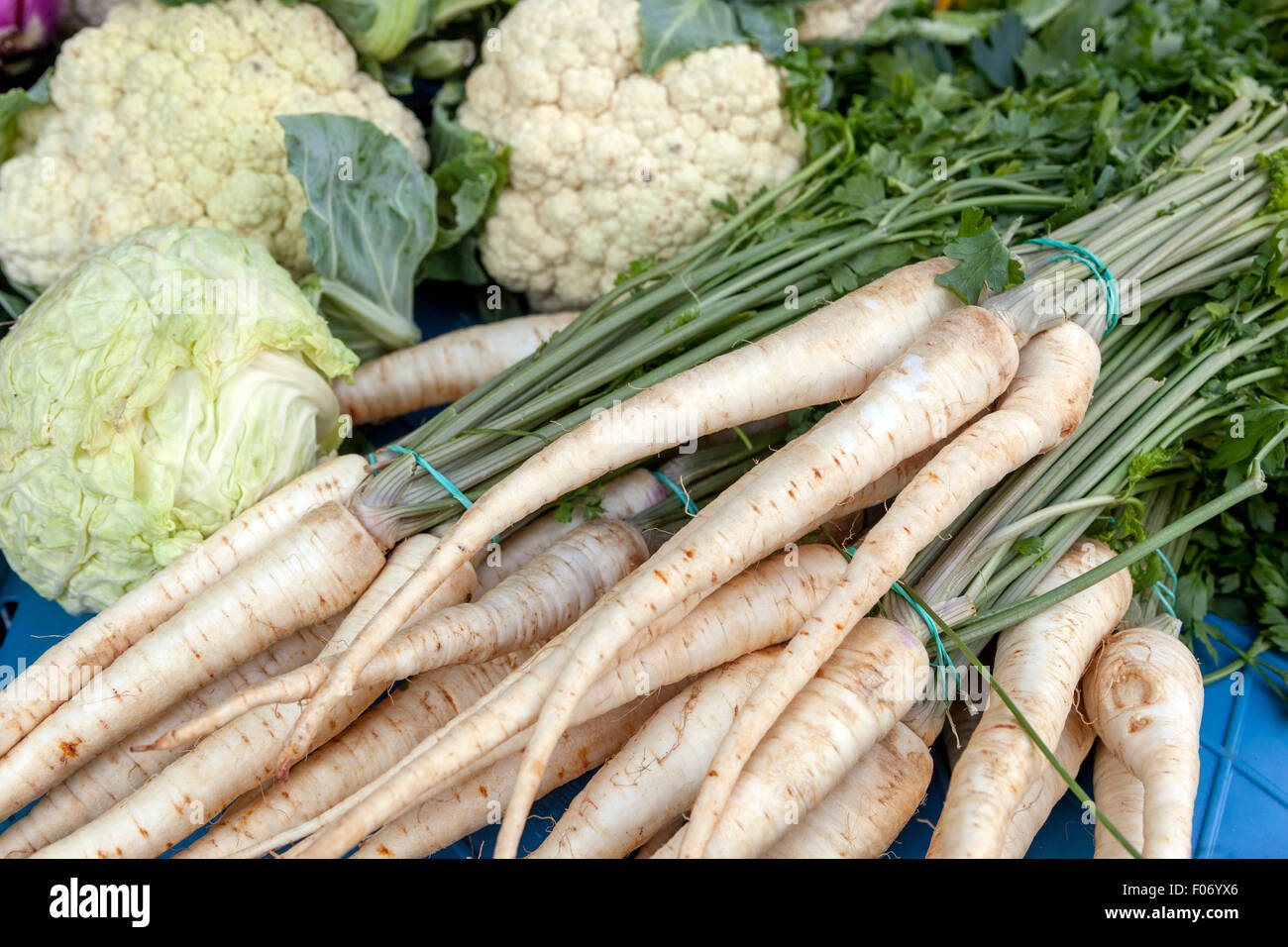 Gemüse, Blumenkohl, Petersilienwurzel Stockfoto