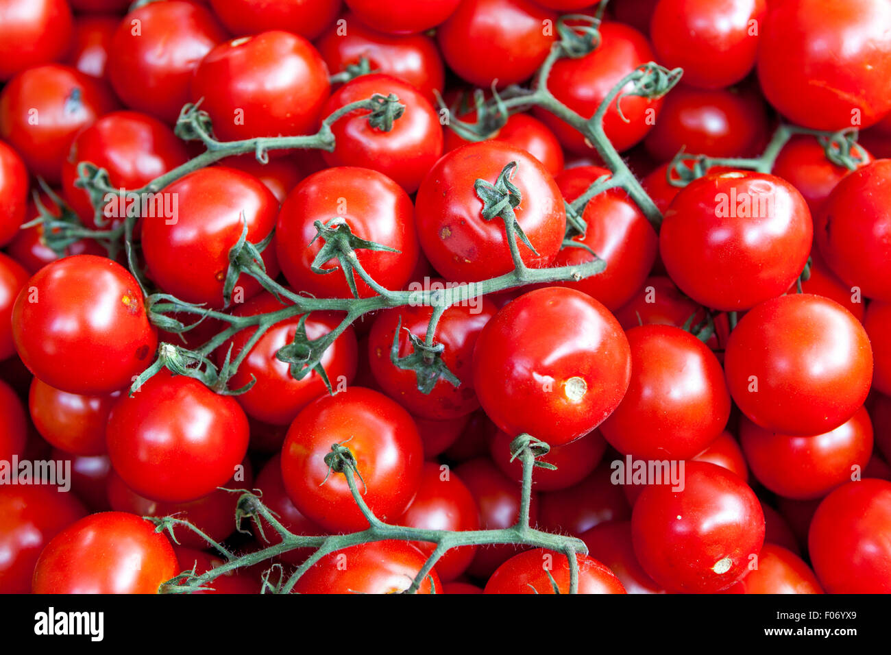 Tomate, Vine Red Tomatoes Supermarkt Stockfoto