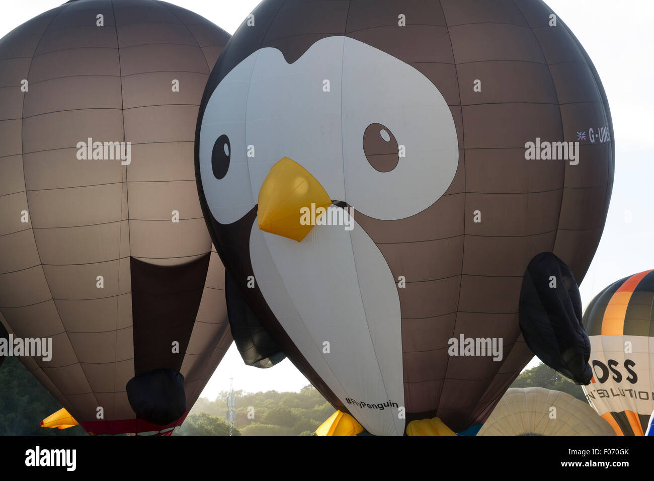 Bristol, UK. 8. August 2015. Bristol International Balloon Fiesta 2015 Abend sah Masse Aufstieg durch riesige Menschenmengen als zwei Pinguin-Heißluftballons starteten. Bildnachweis: Keith Larby/Alamy Live-Nachrichten Stockfoto