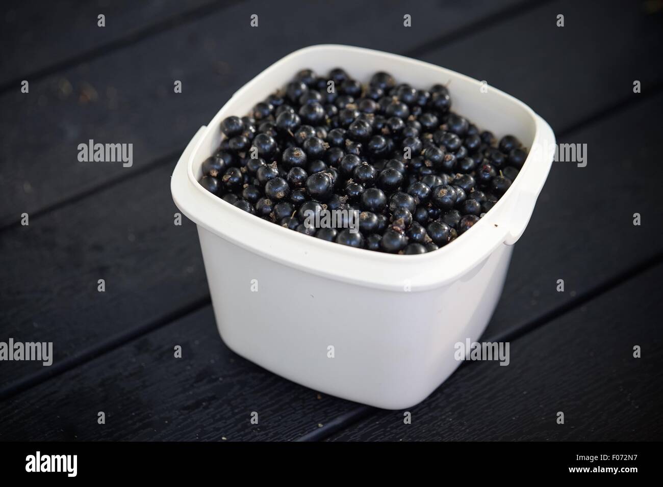 Schwarze Johannisbeeren in einer Schüssel auf dem Tisch. Diese saure Beere enthält viele Vitamine in einem kleinen Paket. Stockfoto