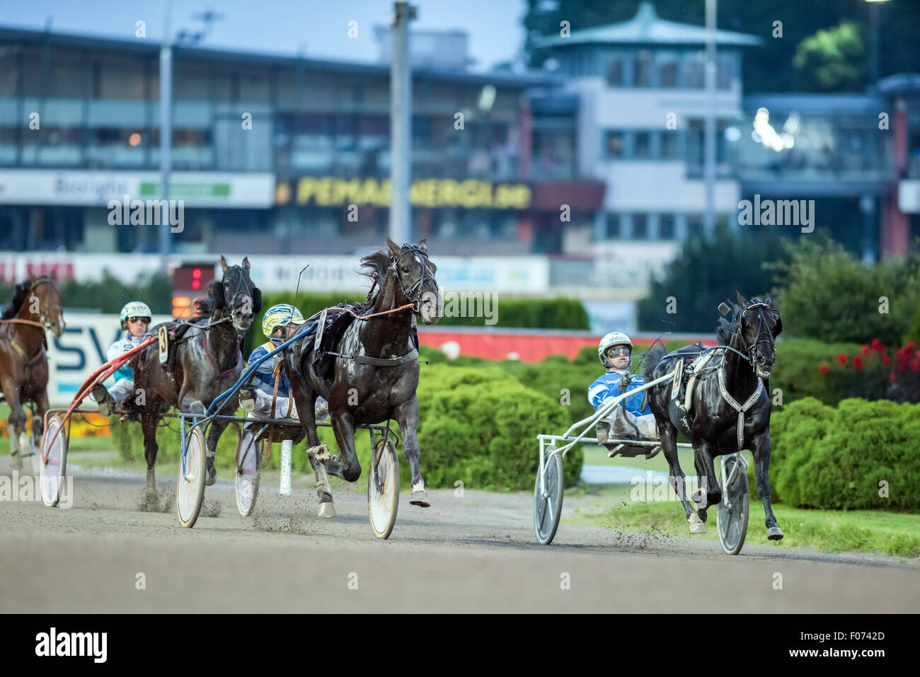 Nuntius Niederlagen in Solvalla Pferderennbahn Daley Lovin Stockfoto