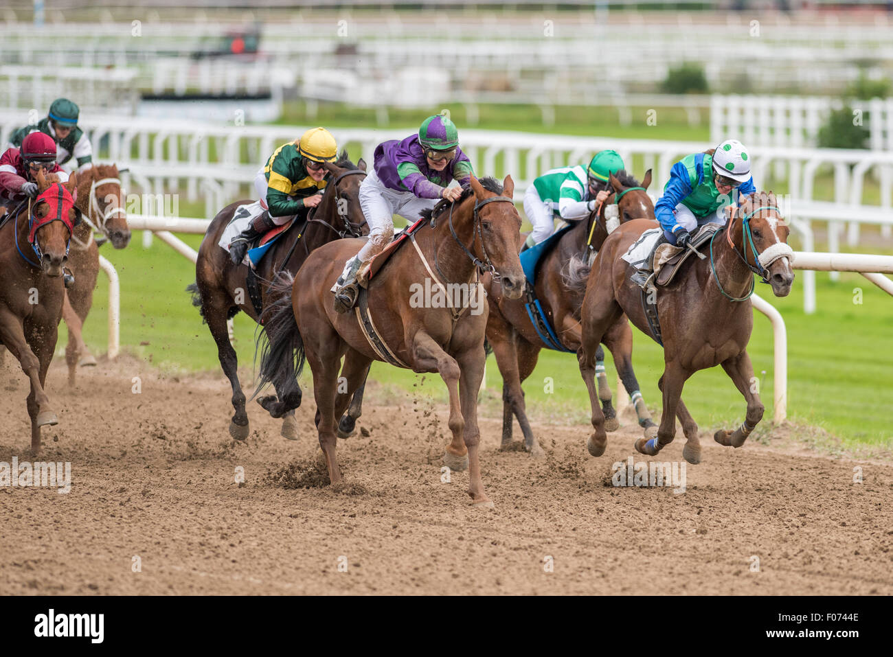 Junge weibliche Jockey Therese Karlsson gewinnt ihren ersten Sieg der Karriere mit Manhattan am Täby Galopp Pferderennbahn Stockfoto