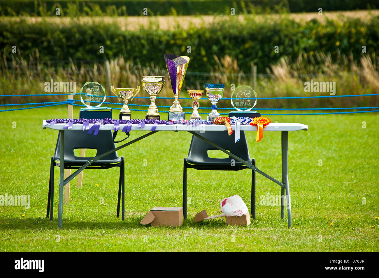 Haustier Hund zeigen Stammbaum Wettbewerb Trophäen und Rosetten auf Tisch für Sieger und der Zweitplatzierte Stockfoto