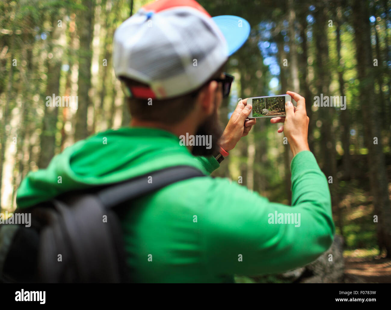 Mann macht Fotos auf einem Smartphone in den Nadelwald im Nationalpark Durmitor, Montenegro, Balkan Stockfoto