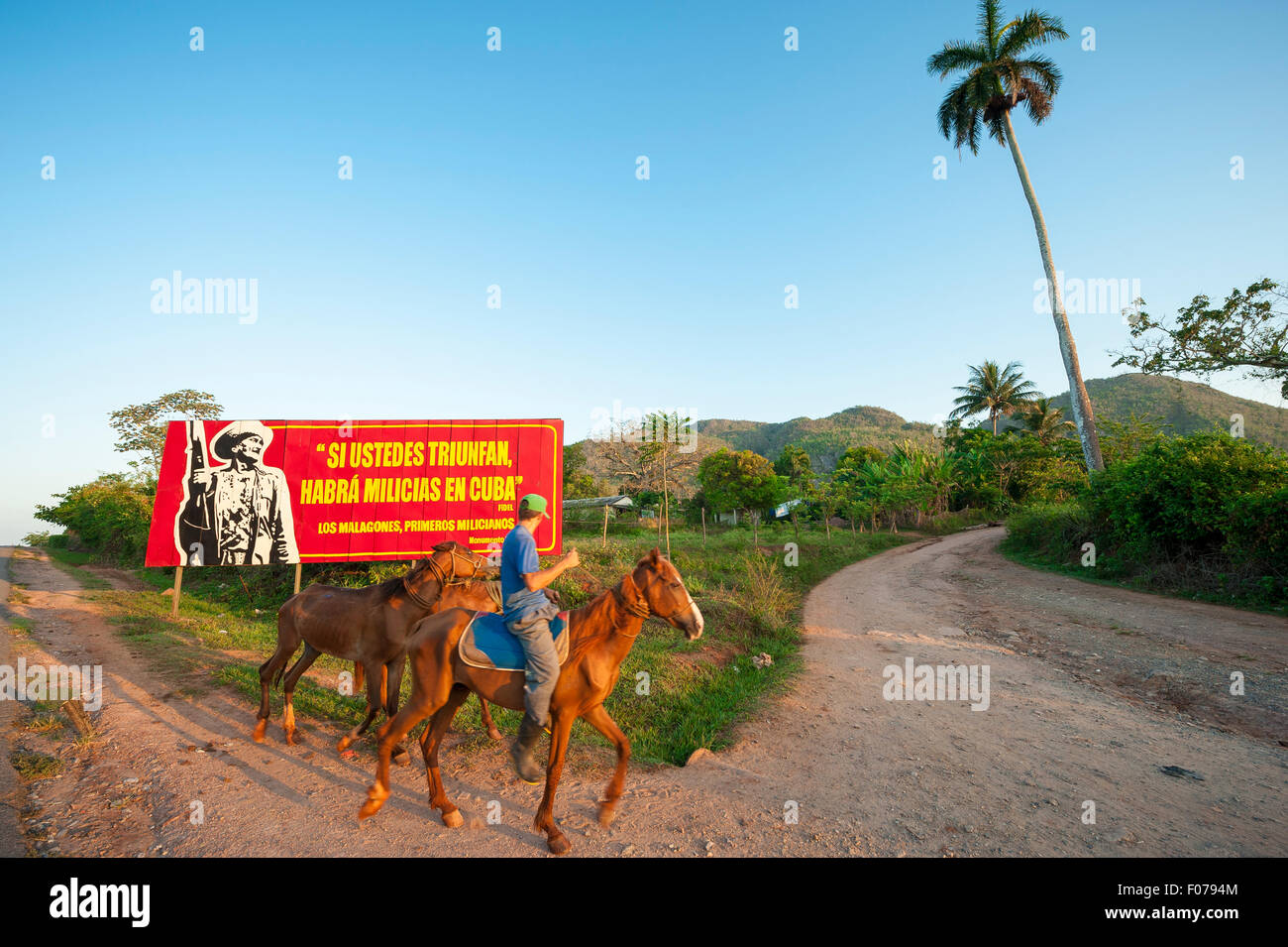 Vinales, Kuba, Propaganda, Billboard, Zeichen, Kubanisch, Viñales, Pferd, ländlich, unbefestigte Straße, Straße, Straße, Palme, tropisch, vinales Stockfoto