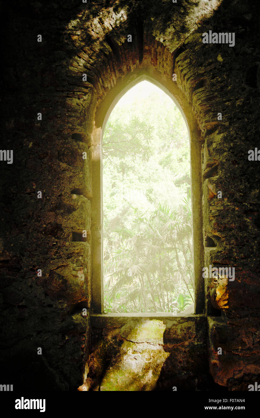 Gewölbte Öffnung zum Wald Stockfoto