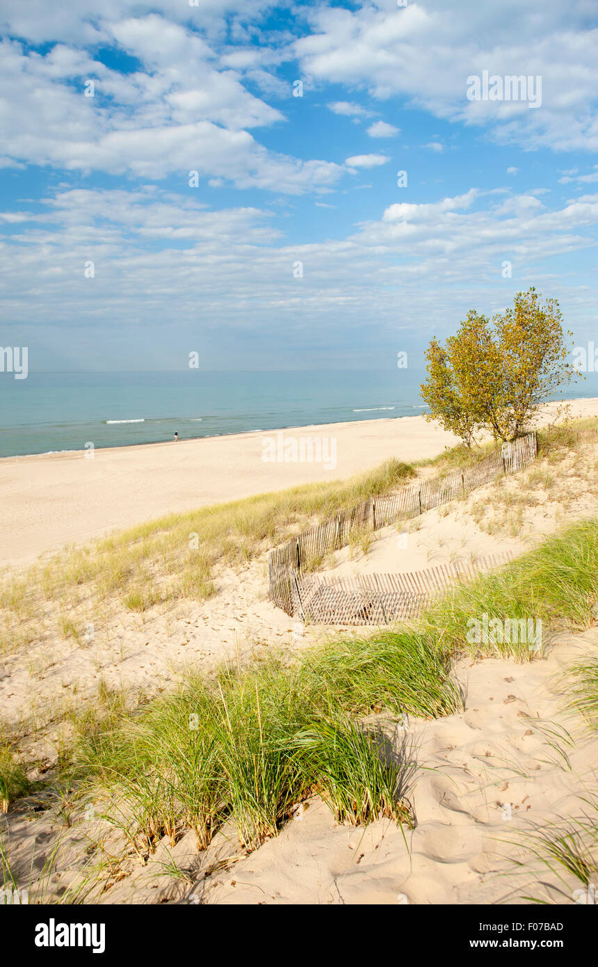 MOUNT BALDY DUNE INDIANA DUNES NATIONAL LAKESHORE PORTER LAKE MICHIGAN INDIANA USA Stockfoto