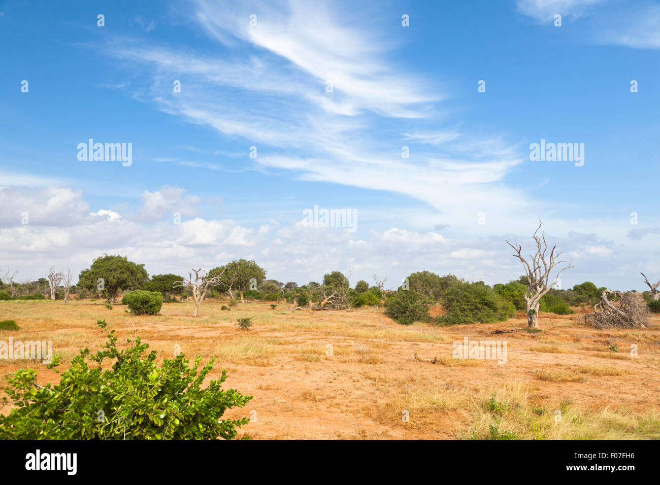 Trockene Savannenlandschaft im Tsavo East National Park in Kenia. Stockfoto