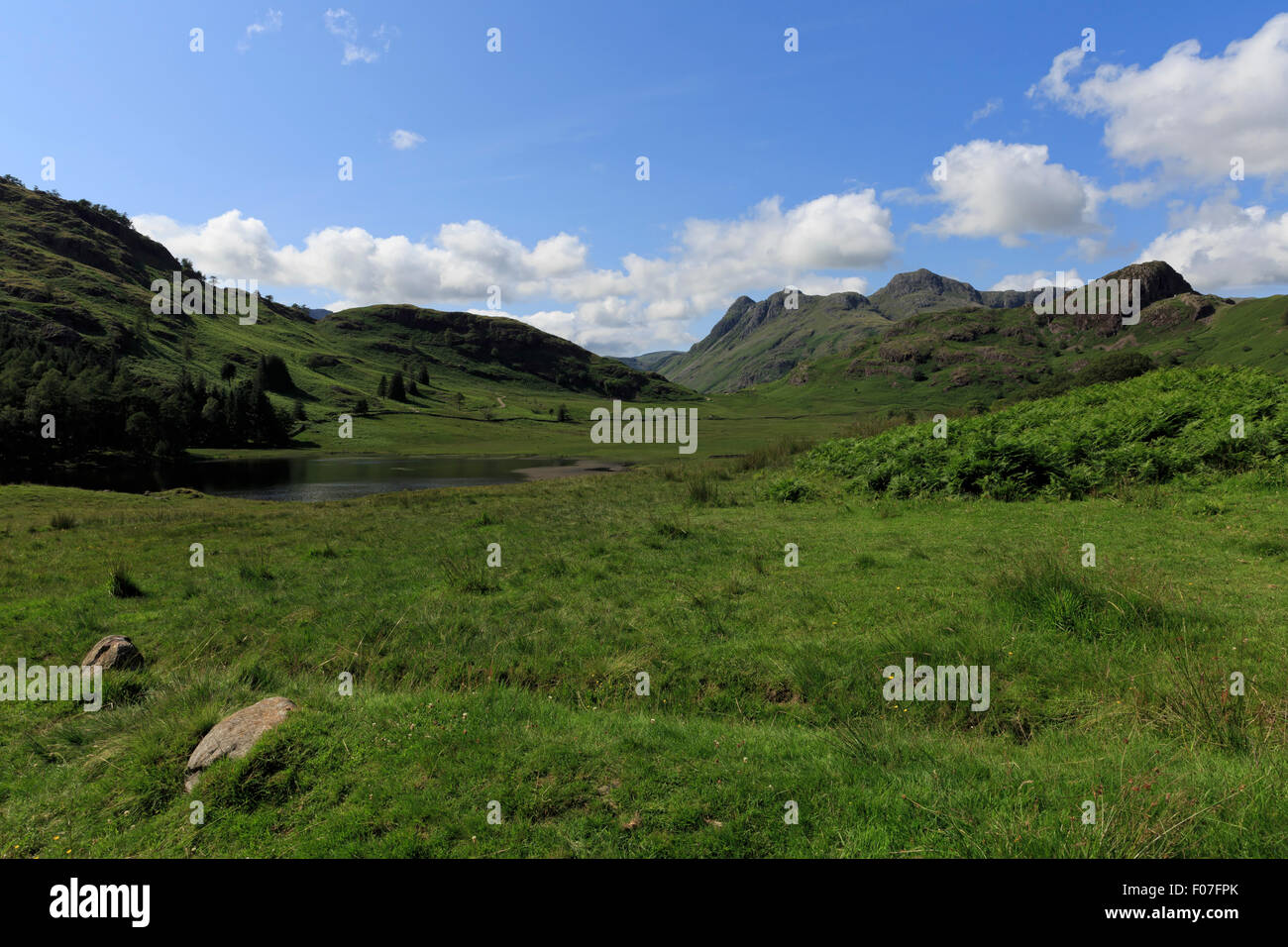 Blea Tarn und die Langdale Pikes Stockfoto