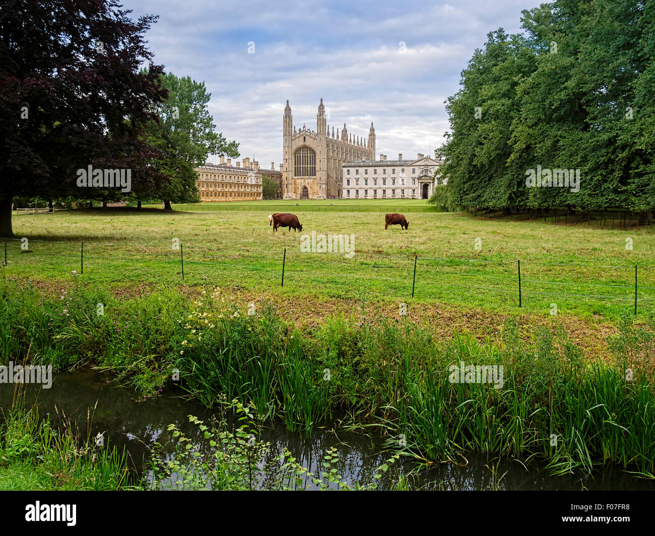 Die Rücken, Cambridge Stockfoto