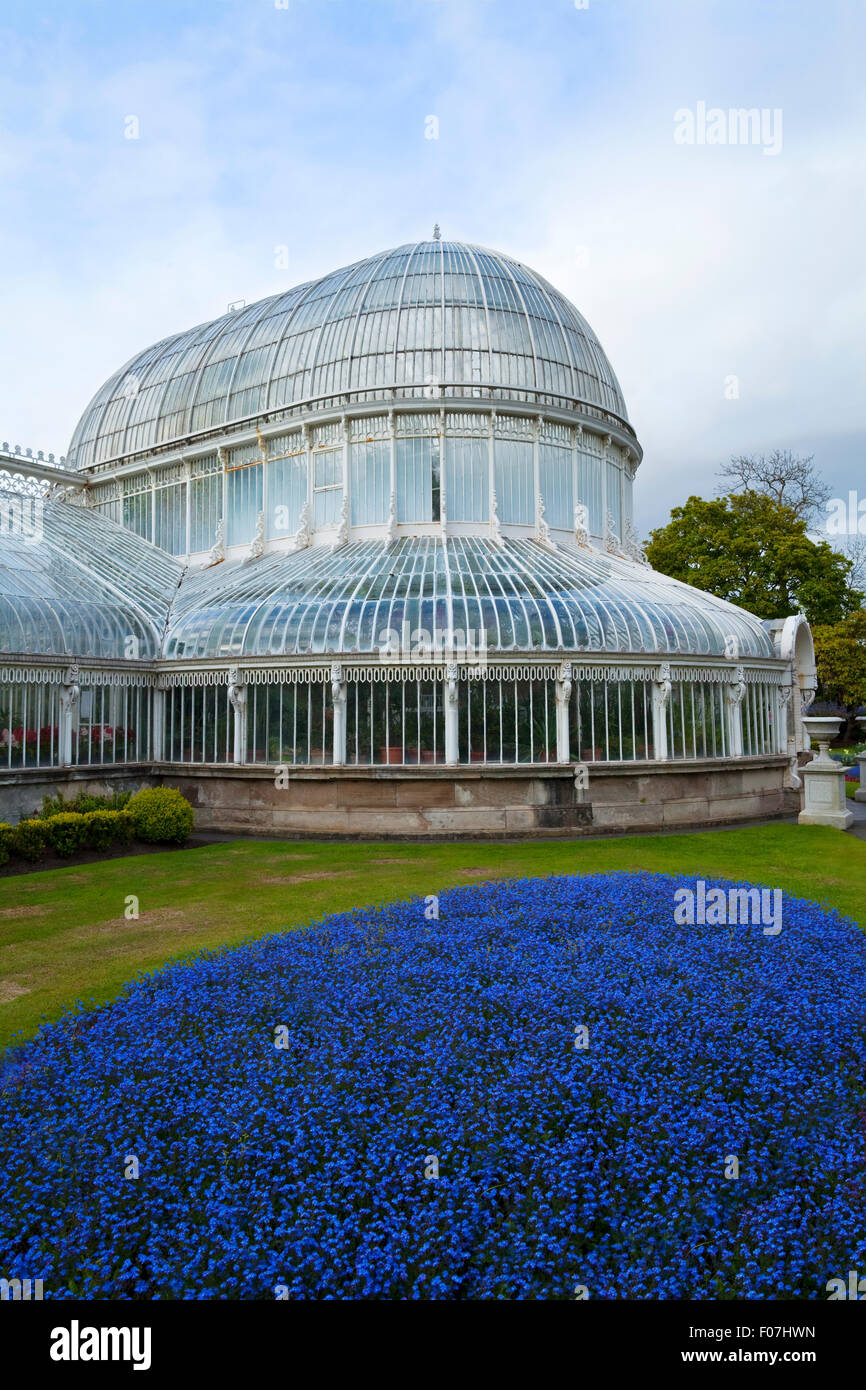Palmenhaus von Charles Lanyon entworfen und gebaut von Richard Turner im Jahre 1840, botanischen Gärten, Belfast City, Nordirland Stockfoto