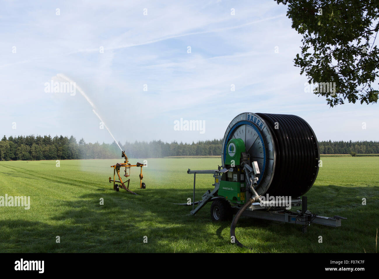 Beregnungswasser auf einer Wiese in den Niederlanden, Europa Stockfoto