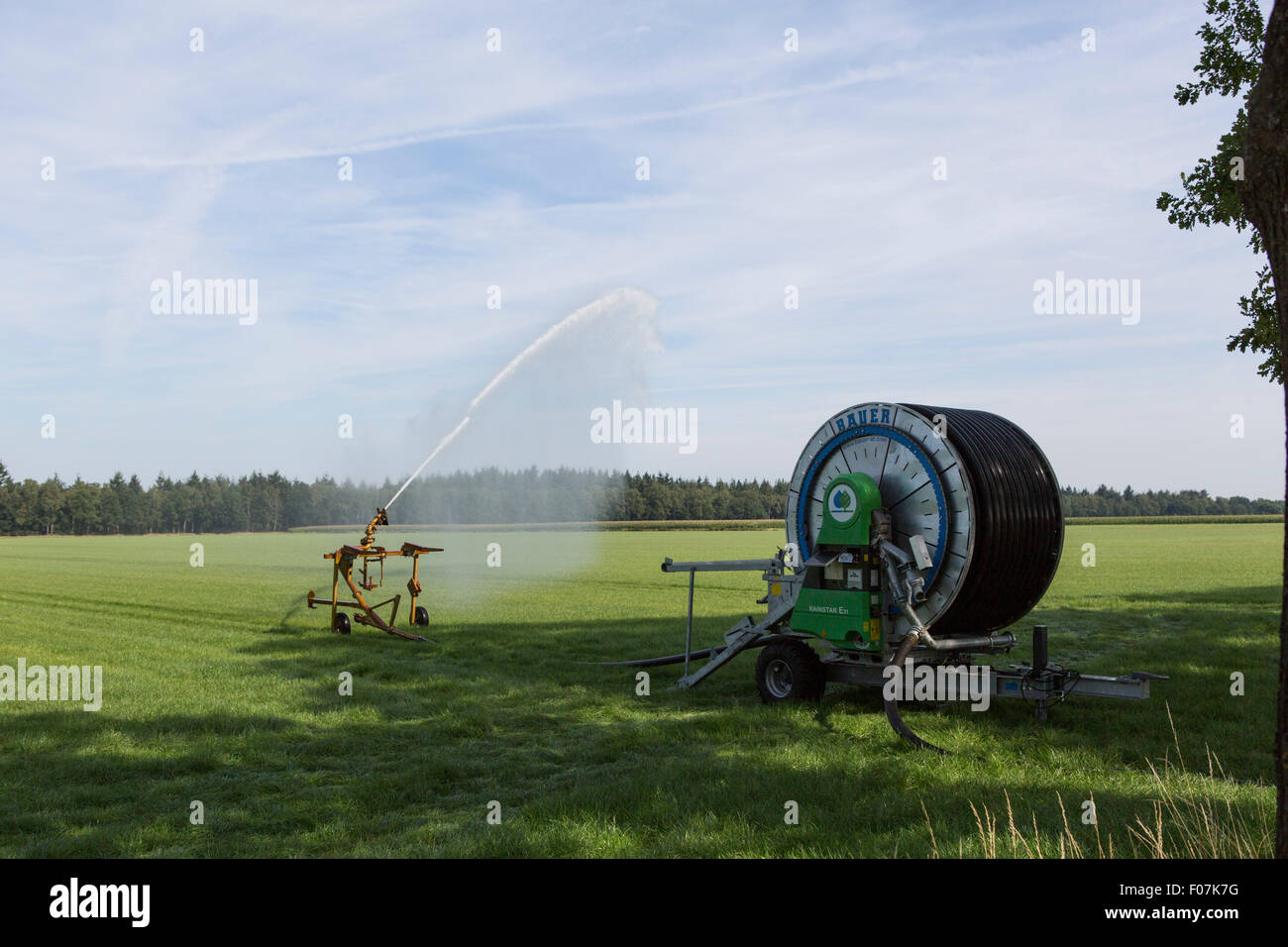 Beregnungswasser auf einer Wiese in den Niederlanden, Europa Stockfoto