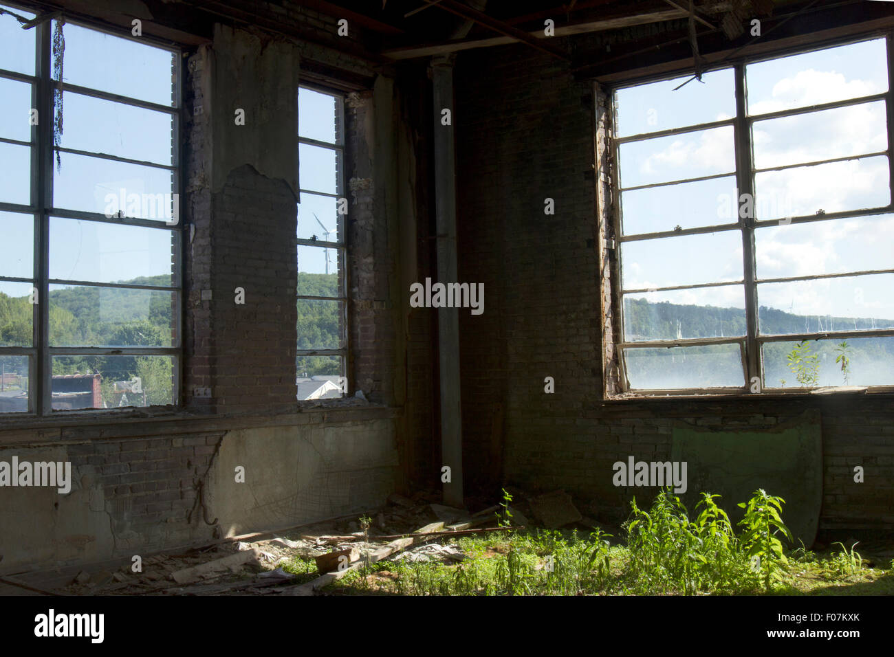 Natur Rückeroberung Stadtstruktur mit Sonnenlicht durch Fenster aufgegeben. Stockfoto