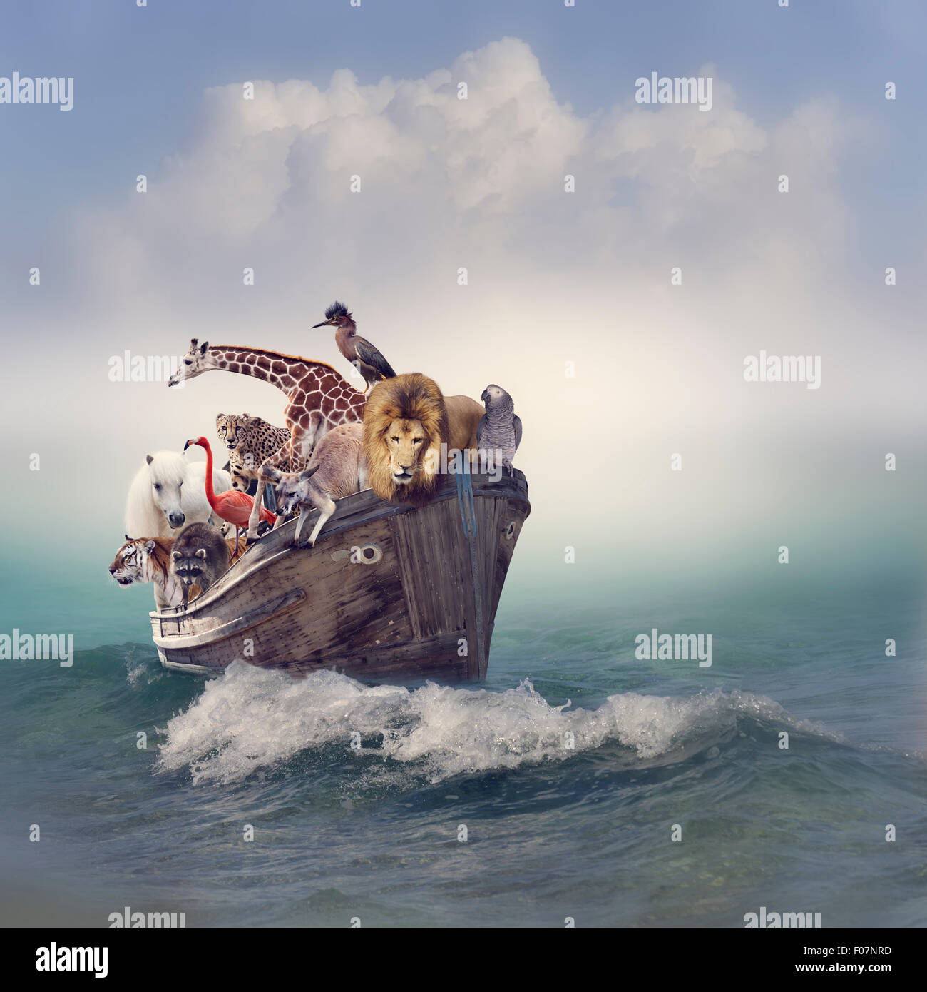 Wilde Tiere und Vögel in einem alten Boot Stockfoto