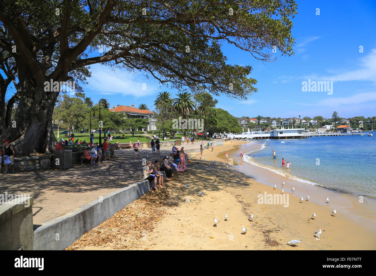 Malerische Strand in der Nähe der Anlegestelle auf Watsons Bay, New South Wales, Australien. Stockfoto