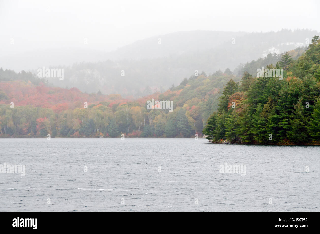 Waldsee im sonnigen Aurumn Tag in Kanada Stockfoto