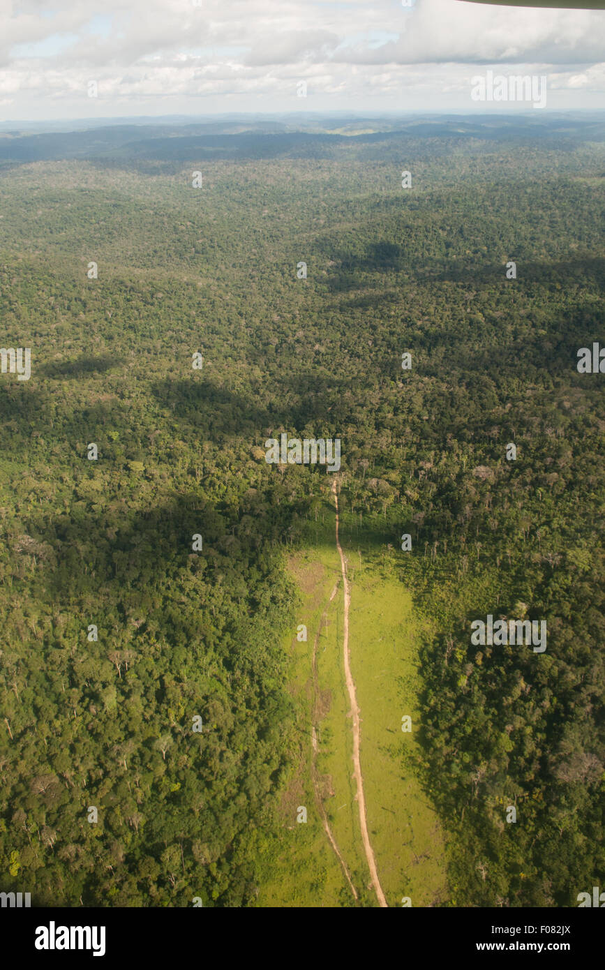 Novo Progresso, Para Zustand, Amazonas, Brasilien. Luftaufnahme des tiefen, dichten Wald mit einem Stück, beidseitig entwaldet. Stockfoto