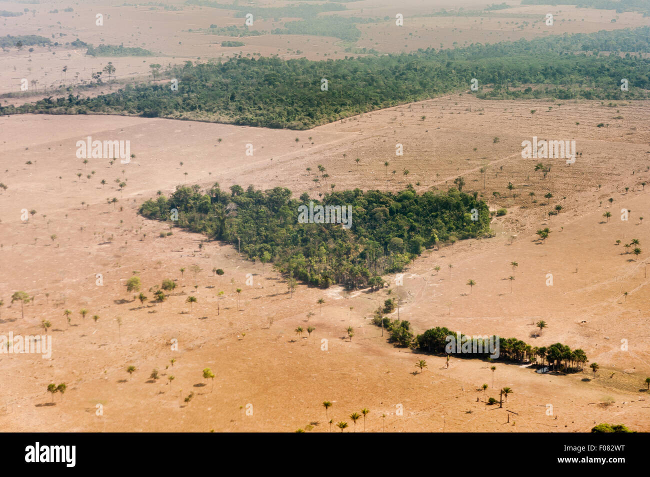 Mato Grosso Zustand. Luftaufnahme der Landwirtschaft mit kleinen herzförmigen Reserve Waldgebiete zwischen Cuiaba und Alta Floresta. Stockfoto