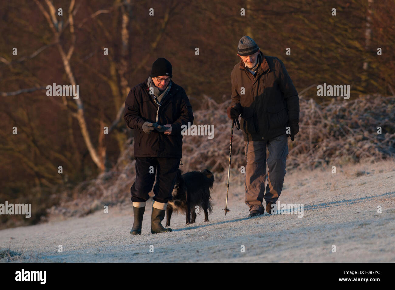 Zwei ältere Männer Spaziergang mit seinem Hund an einem kalten frostigen Morgen in Essex. Stockfoto
