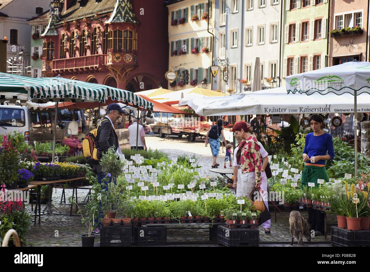 Menschen an Marktständen am Münsterplatz in Freiburg, Schwarzwald, Deutschland Stockfoto