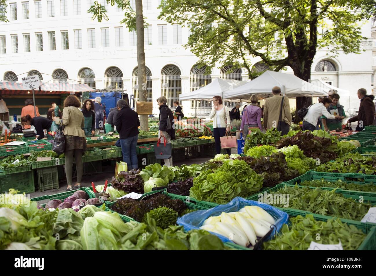 Menschen kaufen Gemüse in Markt, Burkliplatz, Zürich, Schweiz Stockfoto