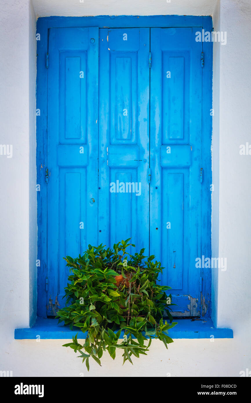 Fenster Rollladen in charakteristischen Blau auf weiß Farben in Kokkari auf der griechischen Insel Samos. Stockfoto