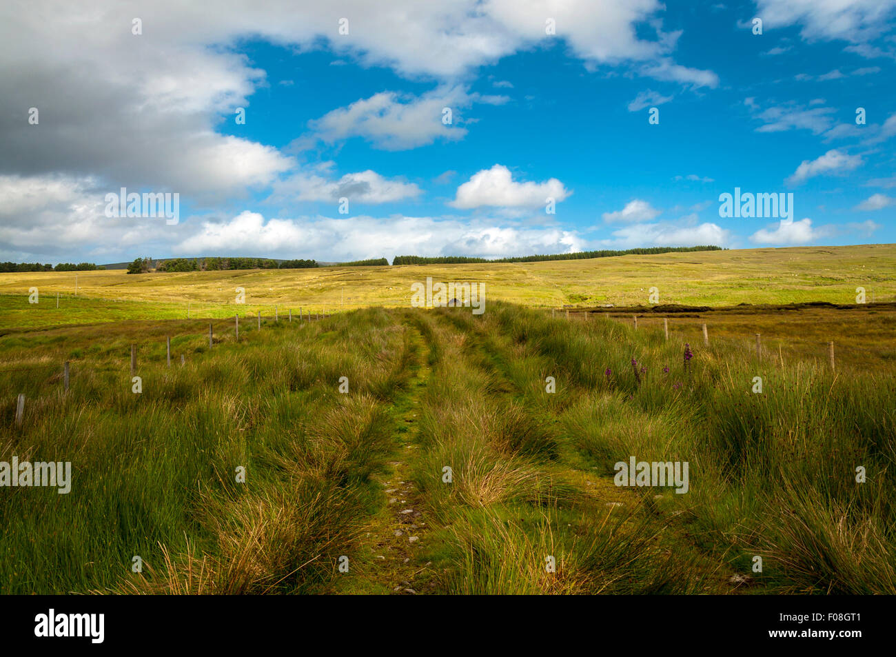 Moor-Straße am Crowlar oder Crove nahe Ardara, County Donegal, Irland Stockfoto